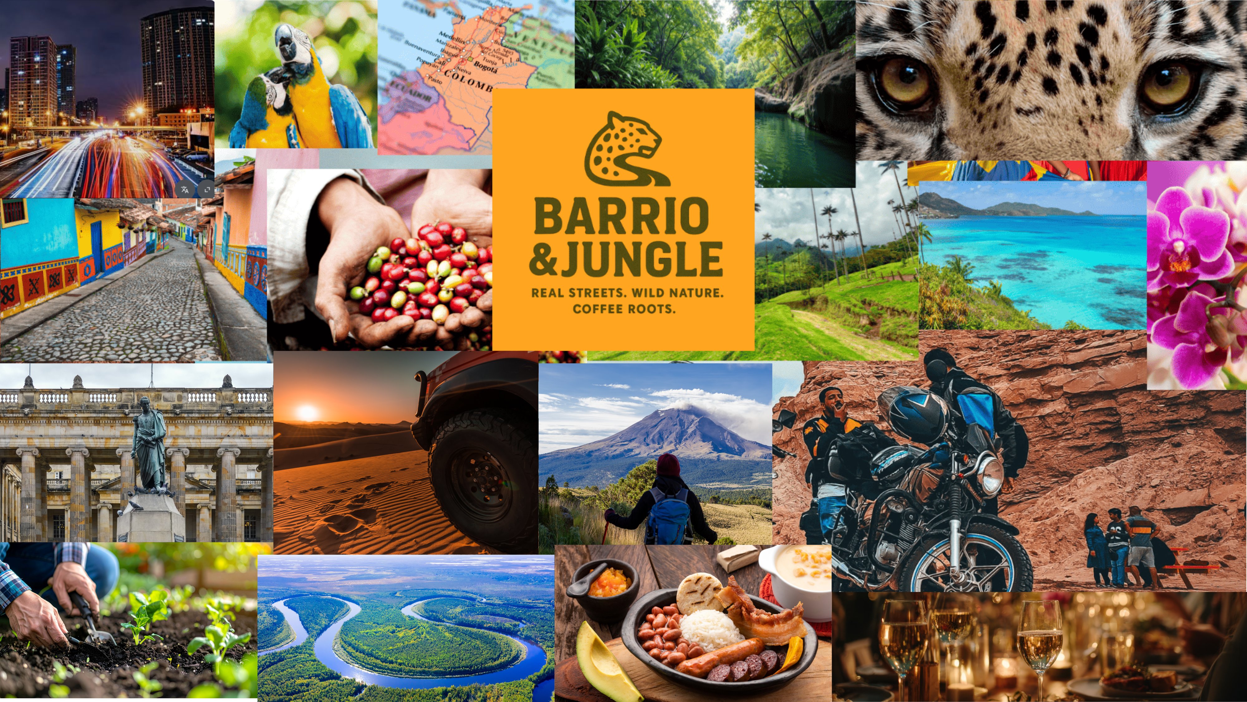 Barrio & Jungle Colombia